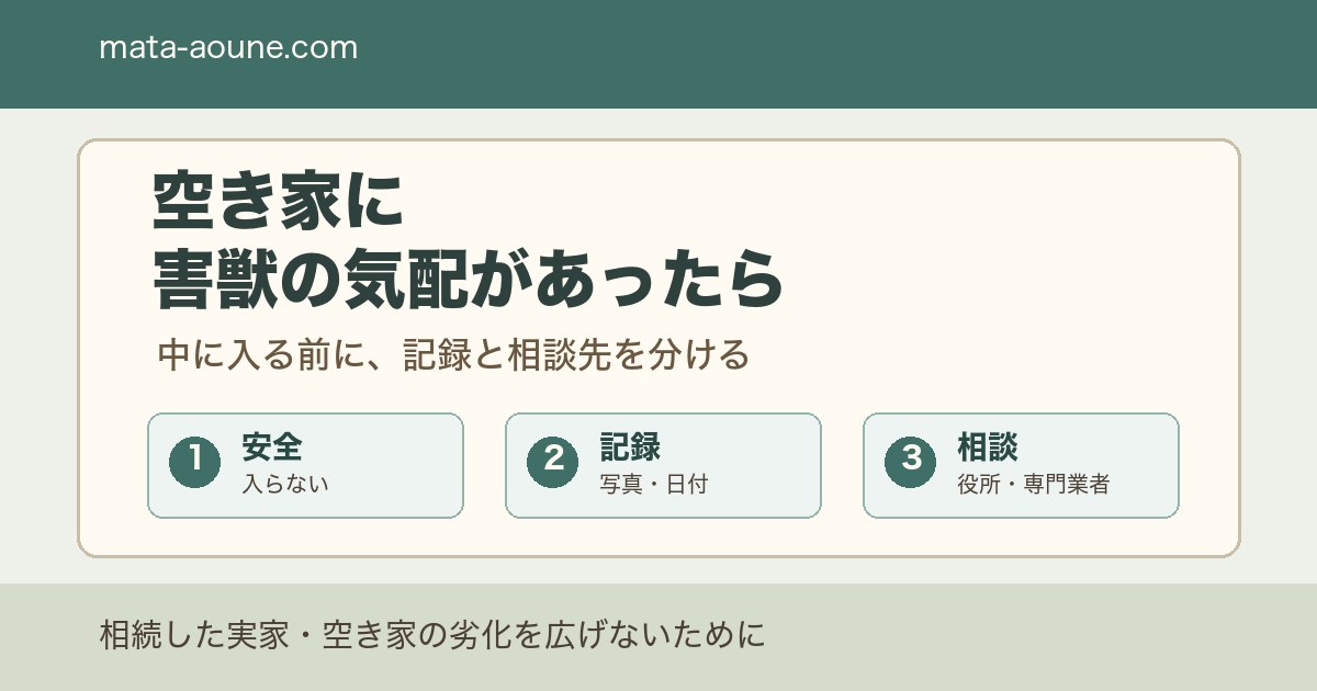 空き家に害獣が出た時の確認順